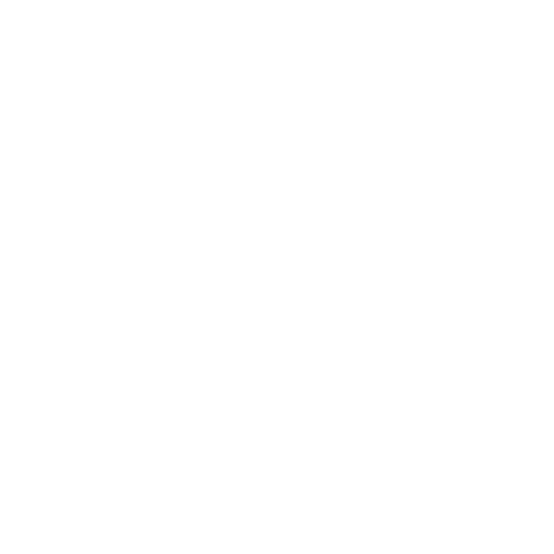 BesteSlaapfeestje.nl